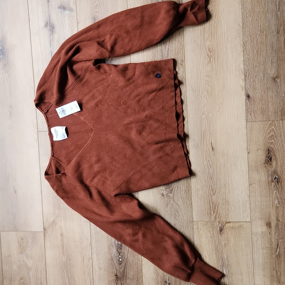 NWT Abercrombie & Fitch Burnt Orange Sweater Large